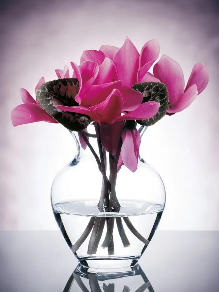 แจกันใส ปาซาบาเช่ 14 ซม.